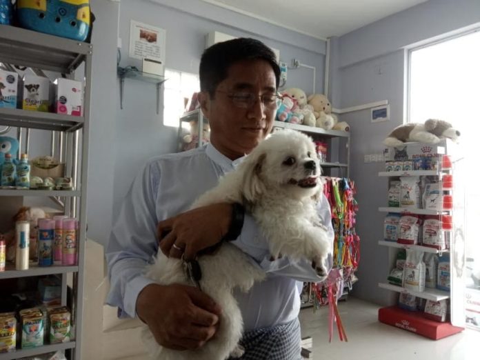 The Very Surprising World Of Pets In Yangon MYANMORE