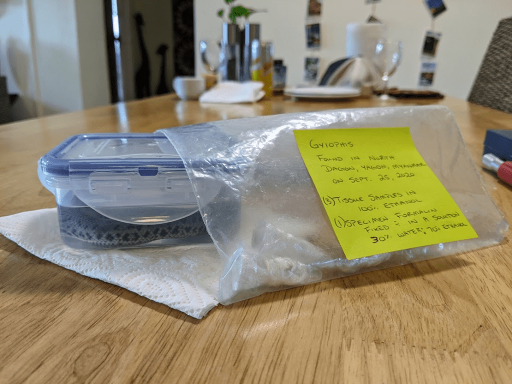 Sssss… “THERE'S A SNAKE IN MY FREEZER!” MYANMORE