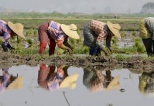 Peasants’ Day 2021