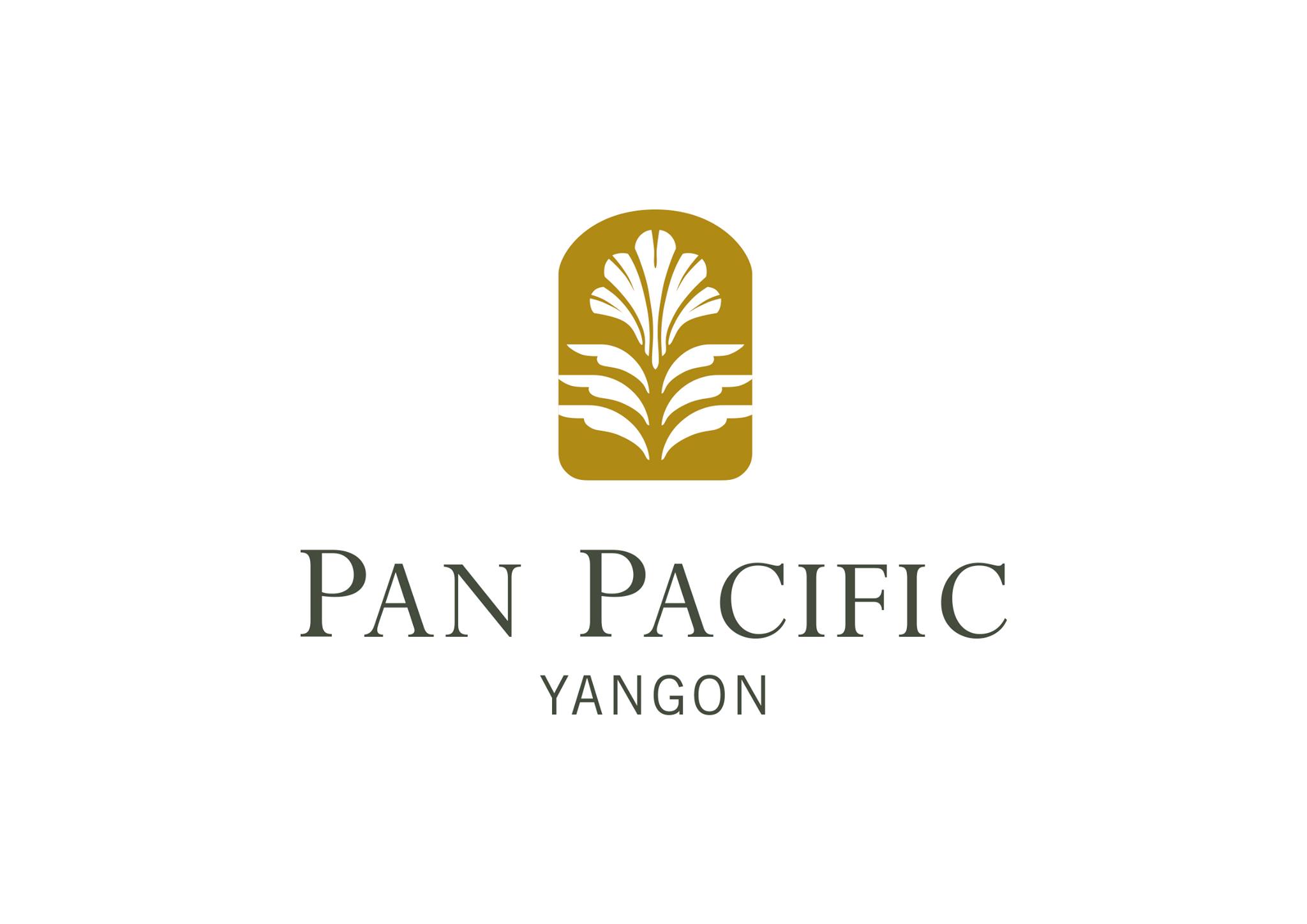 Yum Cha Lunch Pan Pacific MYANMORE